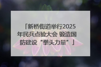 新桥街道举行2025年民兵点验大会 锻造国防建设“拳头力量”