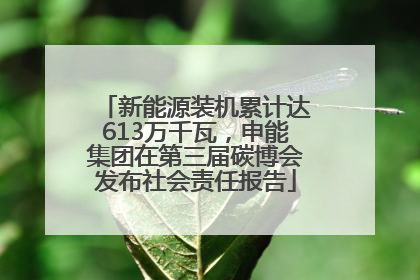 新能源装机累计达613万千瓦，申能集团在第三届碳博会发布社会责任报告