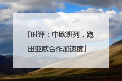 时评：中欧班列，跑出亚欧合作加速度