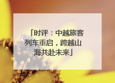 时评：中越旅客列车重启，跨越山海共赴未来