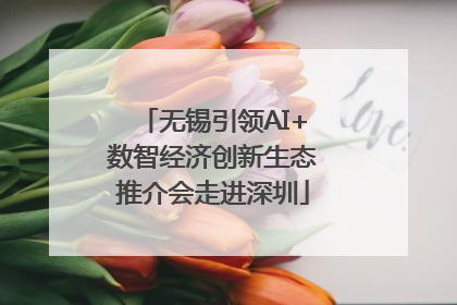 无锡引领AI+数智经济创新生态推介会走进深圳