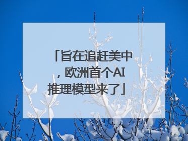 旨在追赶美中，欧洲首个AI推理模型来了