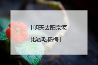 明天去阳宗海比赛吃杨梅