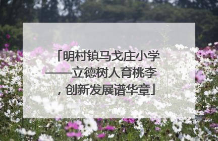 明村镇马戈庄小学——立德树人育桃李，创新发展谱华章