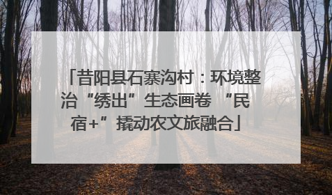 昔阳县石寨沟村：环境整治“绣出”生态画卷 “民宿+”撬动农文旅融合