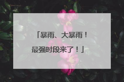 暴雨、大暴雨！最强时段来了！