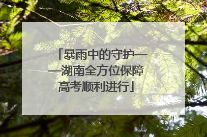 暴雨中的守护——湖南全方位保障高考顺利进行