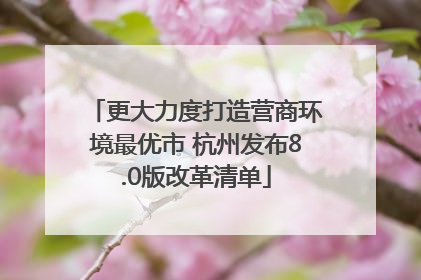 更大力度打造营商环境最优市 杭州发布8.0版改革清单