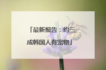 最新报告：约三成韩国人有宠物