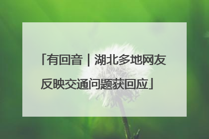 有回音｜湖北多地网友反映交通问题获回应