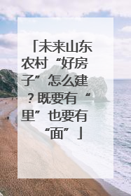 未来山东农村“好房子”怎么建？既要有“里”也要有“面”