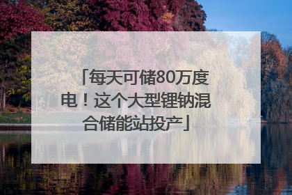 每天可储80万度电！这个大型锂钠混合储能站投产