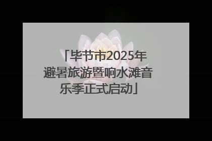 毕节市2025年避暑旅游暨响水滩音乐季正式启动