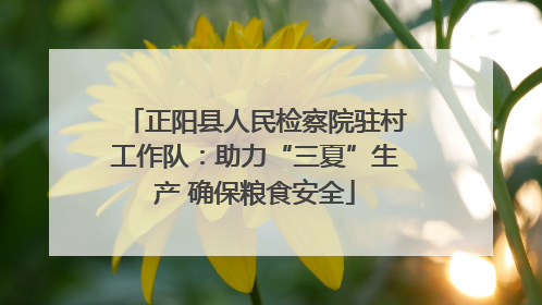 正阳县人民检察院驻村工作队：助力“三夏”生产 确保粮食安全