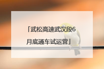 武松高速武汉段6月底通车试运营