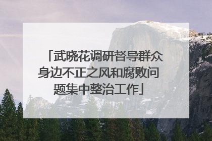 武晓花调研督导群众身边不正之风和腐败问题集中整治工作