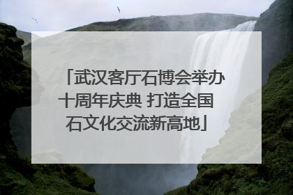 武汉客厅石博会举办十周年庆典 打造全国石文化交流新高地
