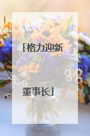 格力迎新董事长