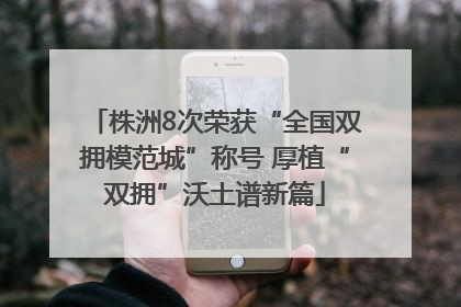 株洲8次荣获“全国双拥模范城”称号 厚植“双拥”沃土谱新篇