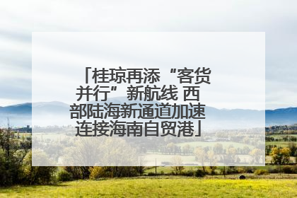 桂琼再添“客货并行”新航线 西部陆海新通道加速连接海南自贸港