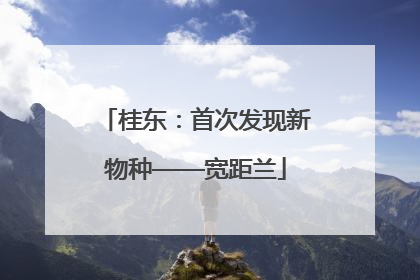 桂东：首次发现新物种——宽距兰