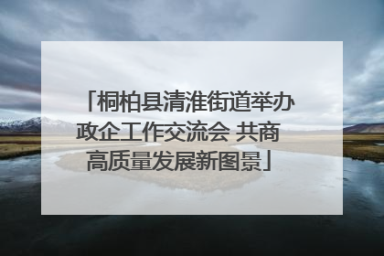 桐柏县清淮街道举办政企工作交流会 共商高质量发展新图景