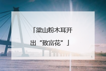 梁山粉木耳开出“致富花”