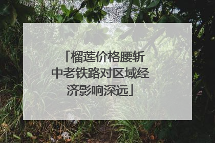 榴莲价格腰斩 中老铁路对区域经济影响深远