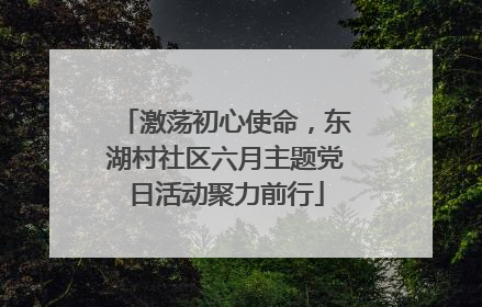 激荡初心使命，东湖村社区六月主题党日活动聚力前行