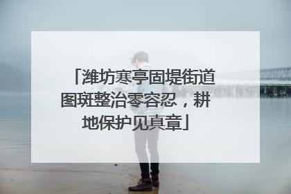 潍坊寒亭固堤街道图斑整治零容忍，耕地保护见真章
