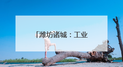 潍坊诸城：工业建设项目涉水类审批“一件事” 为企业提速增值