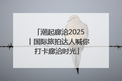 潮起廊洽2025丨国际旅拍达人喊你打卡廊洽时光