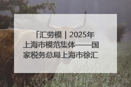 汇劳模｜2025年上海市模范集体——国家税务总局上海市徐汇区税务局第一税务所