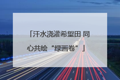 汗水浇灌希望田 同心共绘“绿画卷”