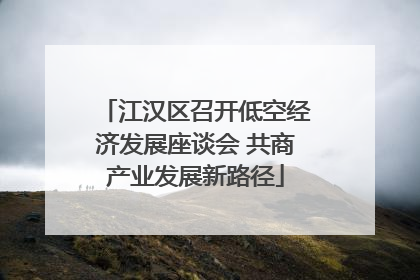 江汉区召开低空经济发展座谈会 共商产业发展新路径