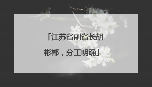 江苏省副省长胡彬郴，分工明确