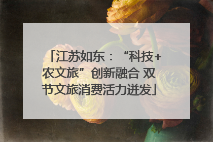 江苏如东：“科技+农文旅”创新融合 双节文旅消费活力迸发