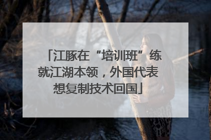 江豚在“培训班”练就江湖本领，外国代表想复制技术回国