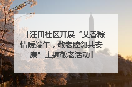 汪田社区开展“艾香粽情暖端午，敬老睦邻共安康”主题敬老活动