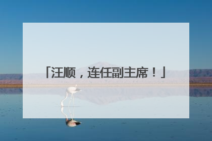 汪顺，连任副主席！
