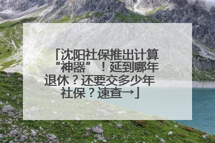 沈阳社保推出计算“神器”！延到哪年退休？还要交多少年社保？速查→