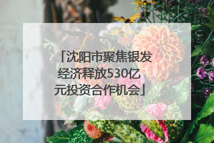 沈阳市聚焦银发经济释放530亿元投资合作机会