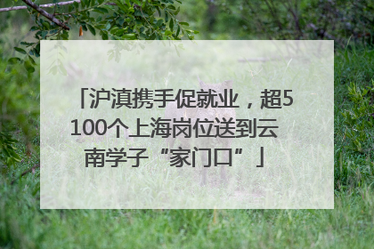 沪滇携手促就业，超5100个上海岗位送到云南学子“家门口”