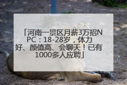 河南一景区月薪3万招NPC：18-28岁，体力好、颜值高、会聊天！已有1000多人应聘