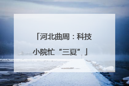 河北曲周：科技小院忙“三夏”