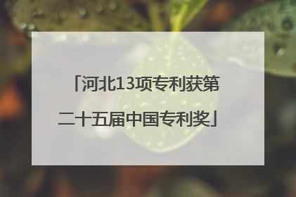 河北13项专利获第二十五届中国专利奖