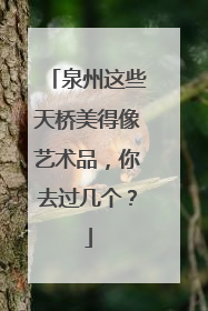泉州这些天桥美得像艺术品，你去过几个？