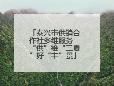 泰兴市供销合作社多维服务 “供”绘“三夏”好“丰”景