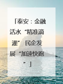 泰安：金融活水“精准滴灌” 民企发展“加速快跑”