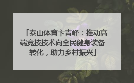 泰山体育卞青峰：推动高端竞技技术向全民健身装备转化，助力乡村振兴